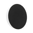 GST 3" BACKING PLATE 5/8" -11